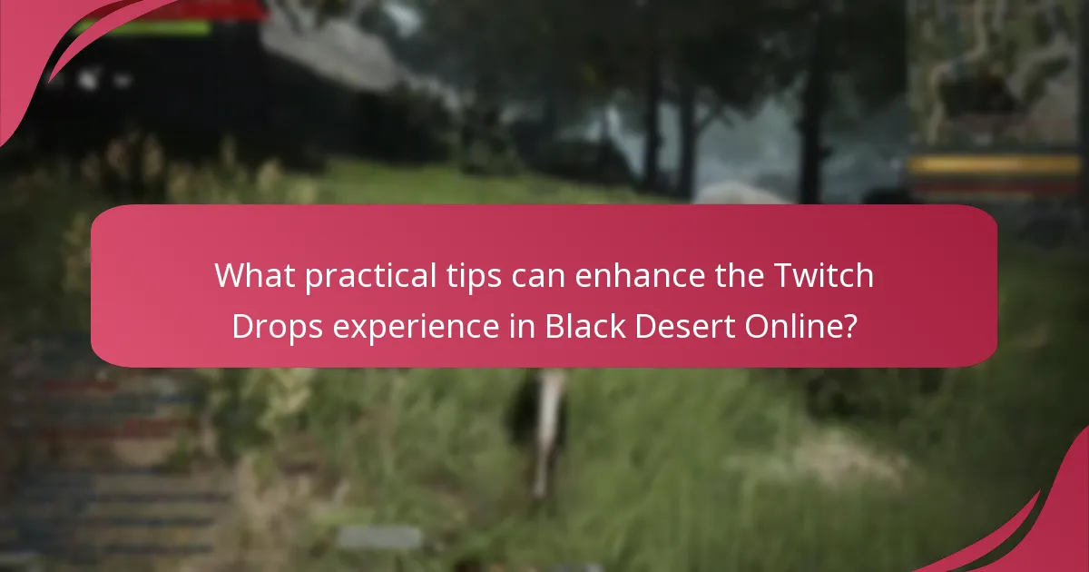 What practical tips can enhance the Twitch Drops experience in Black Desert Online?